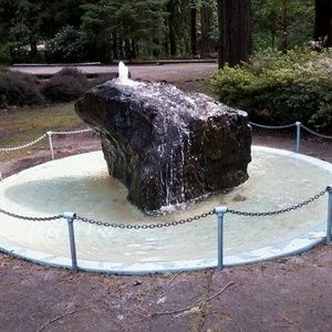 Meet your Posher, Ron